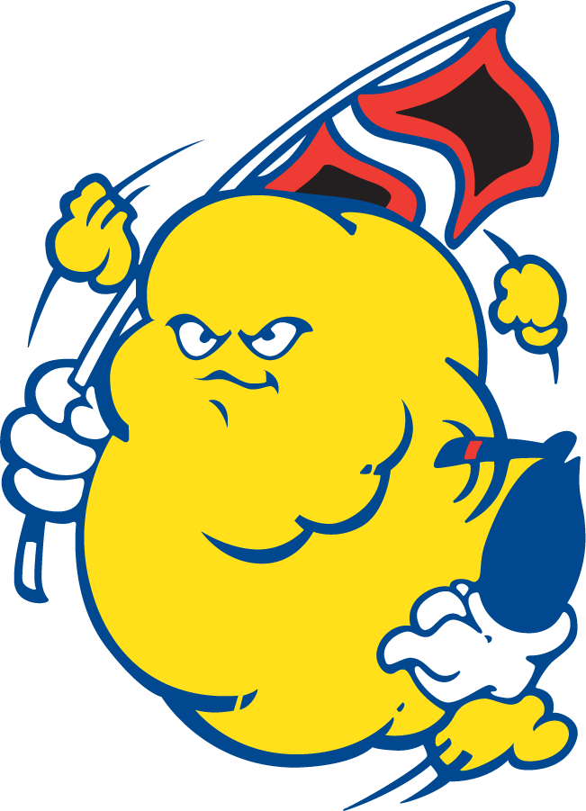 Tulsa Golden Hurricane 1980-1987 Mascot Logo iron on transfers for clothing